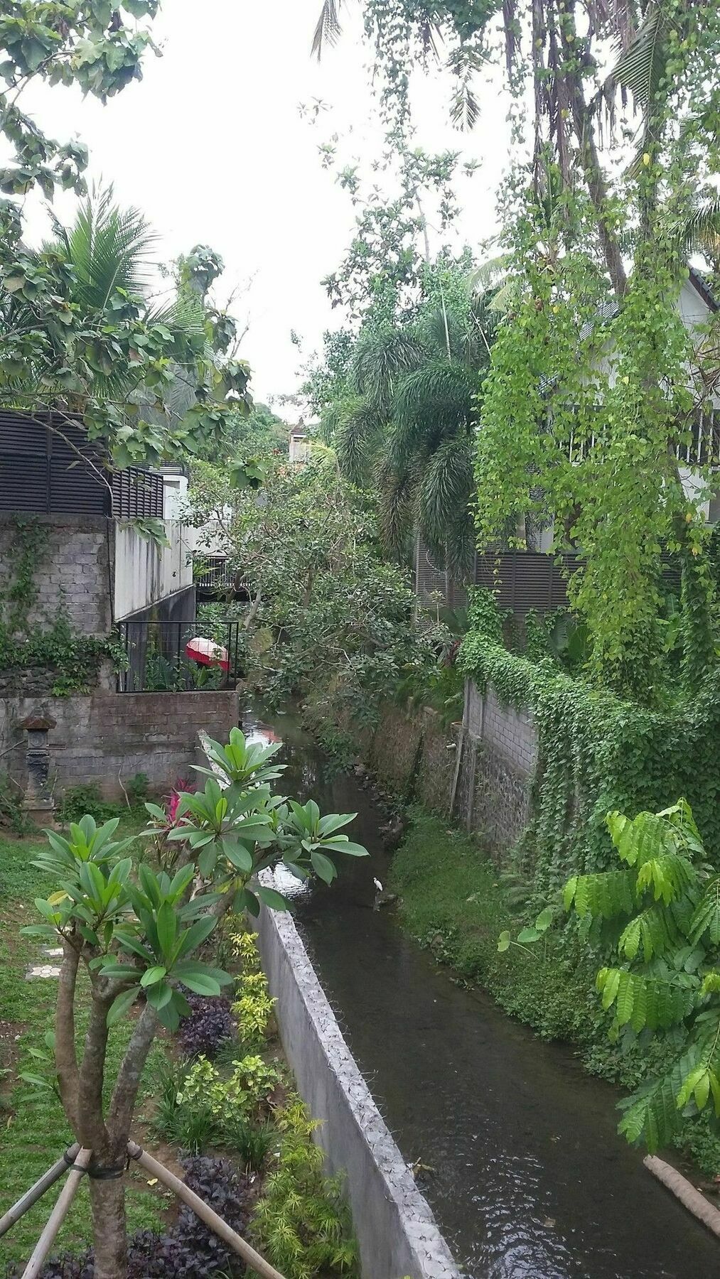 Argasoka Bungalows Ubud  Exterior photo